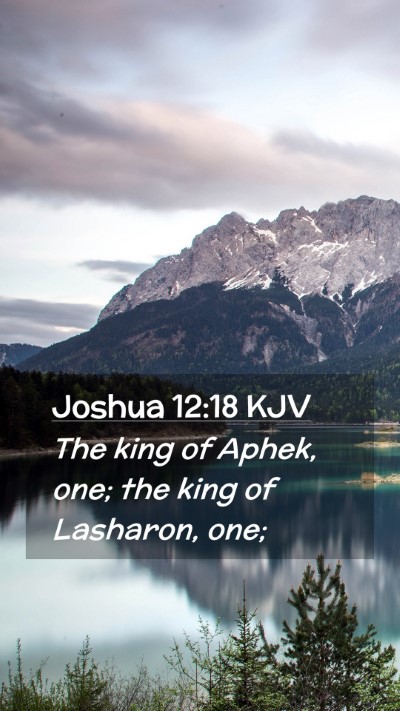 Picture 02 - Joshua 12:18 KJV Mobile Phone Wallpaper - The king of Aphek, one; the king of Lasharon, - Mobile Bible Verse Wallpaper