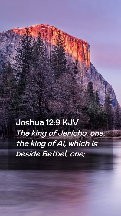 Picture 02 - Joshua 12:9 KJV Mobile Phone Wallpaper - The king of Jericho, one; the king of Ai, which - Mobile Bible Verse Wallpaper