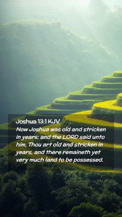 Picture 02 - Joshua 13:1 KJV Mobile Phone Wallpaper - Now Joshua was old and stricken in years; and the - Mobile Bible Verse Wallpaper