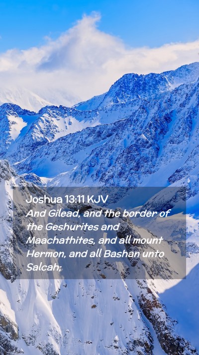 Picture 02 - Joshua 13:11 KJV Mobile Phone Wallpaper - And Gilead, and the border of the Geshurites and - Mobile Bible Verse Wallpaper