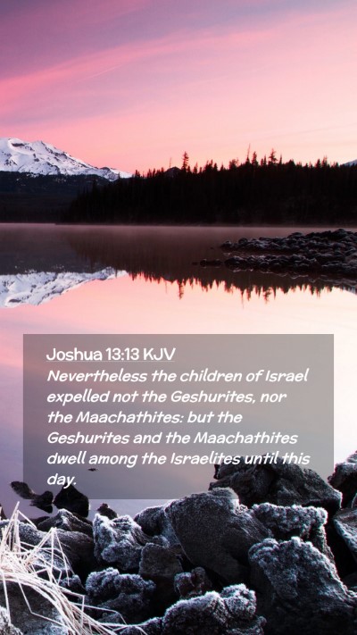 Picture 02 - Joshua 13:13 KJV Mobile Phone Wallpaper - Nevertheless the children of Israel expelled not - Mobile Bible Verse Wallpaper