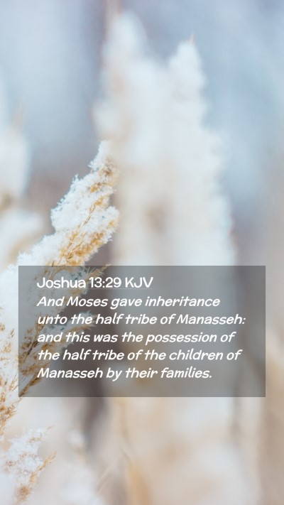 Picture 02 - Joshua 13:29 KJV Mobile Phone Wallpaper - And Moses gave inheritance unto the half tribe of - Mobile Bible Verse Wallpaper