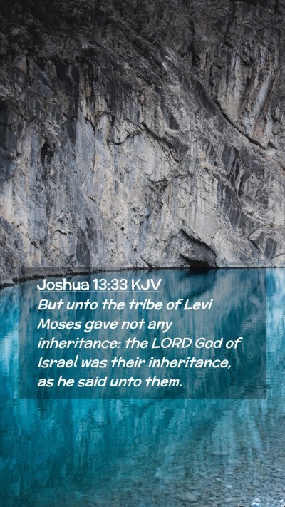 Picture 02 - Joshua 13:33 KJV Mobile Phone Wallpaper - But unto the tribe of Levi Moses gave not any - Mobile Bible Verse Wallpaper