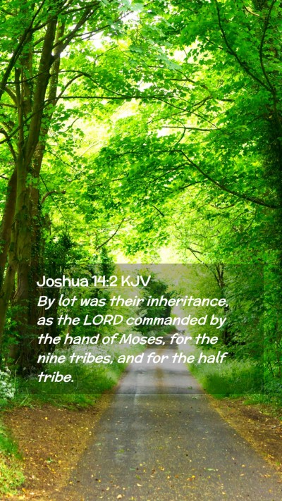 Picture 02 - Joshua 14:2 KJV Mobile Phone Wallpaper - By lot was their inheritance, as the LORD - Mobile Bible Verse Wallpaper