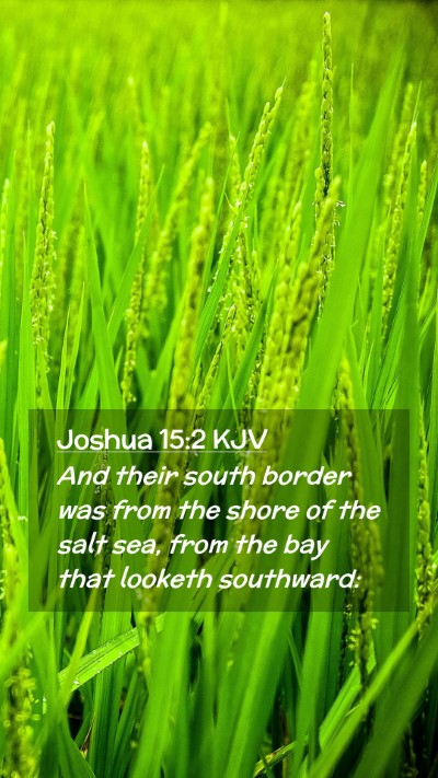 Picture 02 - Joshua 15:2 KJV Mobile Phone Wallpaper - And their south border was from the shore of the - Mobile Bible Verse Wallpaper