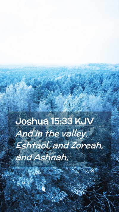 Picture 02 - Joshua 15:33 KJV Mobile Phone Wallpaper - And in the valley, Eshtaol, and Zoreah, and - Mobile Bible Verse Wallpaper