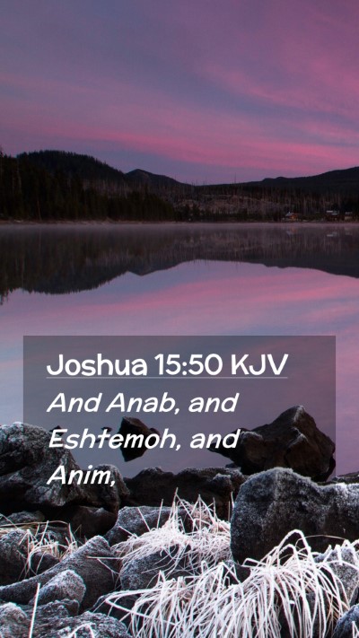 Picture 02 - Joshua 15:50 KJV Mobile Phone Wallpaper - And Anab, and Eshtemoh, and - Mobile Bible Verse Wallpaper