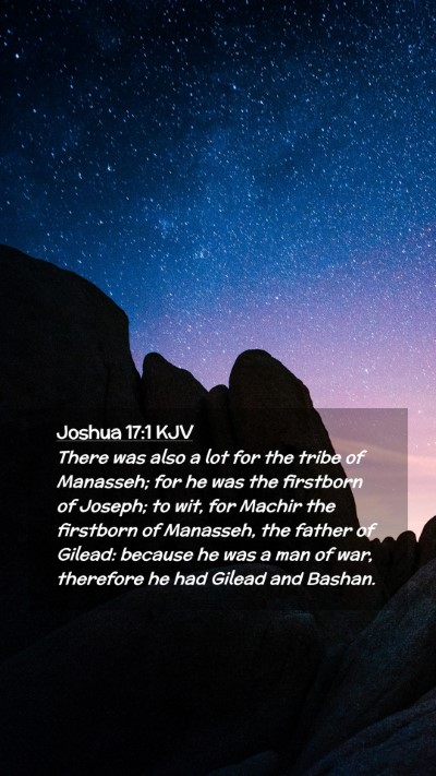 Picture 02 - Joshua 17:1 KJV Mobile Phone Wallpaper - There was also a lot for the tribe of Manasseh; - Mobile Bible Verse Wallpaper