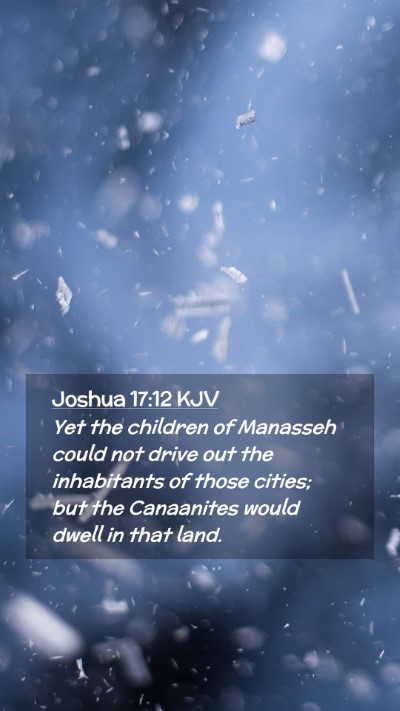 Picture 02 - Joshua 17:12 KJV Mobile Phone Wallpaper - Yet the children of Manasseh could not drive out - Mobile Bible Verse Wallpaper
