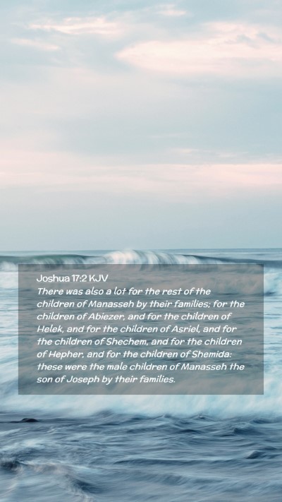 Picture 02 - Joshua 17:2 KJV Mobile Phone Wallpaper - There was also a lot for the rest of the children - Mobile Bible Verse Wallpaper
