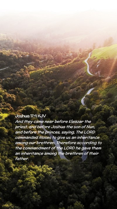 Picture 02 - Joshua 17:4 KJV Mobile Phone Wallpaper - And they came near before Eleazar the priest, and - Mobile Bible Verse Wallpaper