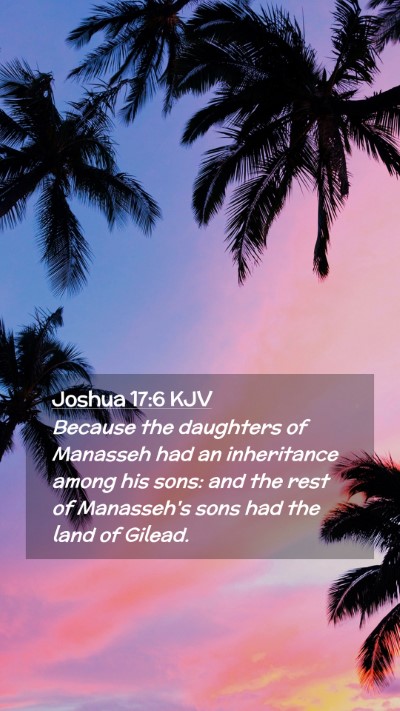 Picture 02 - Joshua 17:6 KJV Mobile Phone Wallpaper - Because the daughters of Manasseh had an - Mobile Bible Verse Wallpaper