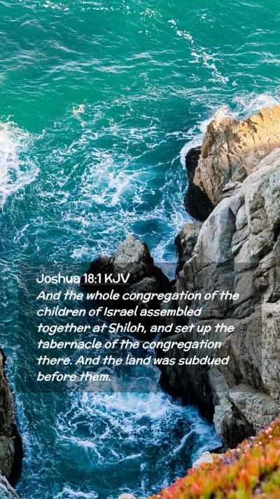 Picture 02 - Joshua 18:1 KJV Mobile Phone Wallpaper - And the whole congregation of the children of - Mobile Bible Verse Wallpaper
