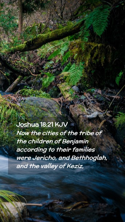 Picture 02 - Joshua 18:21 KJV Mobile Phone Wallpaper - Now the cities of the tribe of the children of - Mobile Bible Verse Wallpaper
