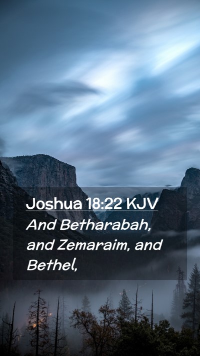 Picture 02 - Joshua 18:22 KJV Mobile Phone Wallpaper - And Betharabah, and Zemaraim, and - Mobile Bible Verse Wallpaper