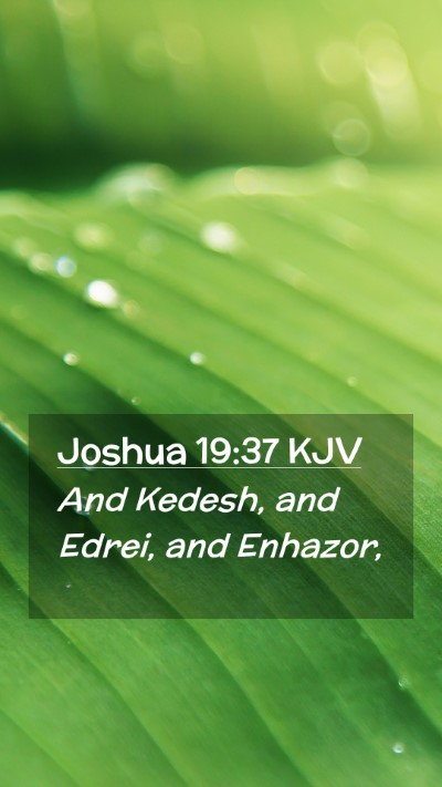 Picture 02 - Joshua 19:37 KJV Mobile Phone Wallpaper - And Kedesh, and Edrei, and - Mobile Bible Verse Wallpaper