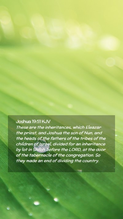 Picture 02 - Joshua 19:51 KJV Mobile Phone Wallpaper - These are the inheritances, which Eleazar the - Mobile Bible Verse Wallpaper