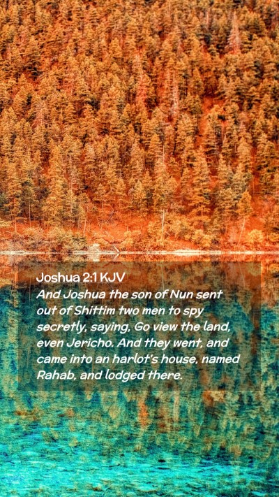 Picture 02 - Joshua 2:1 KJV Mobile Phone Wallpaper - And Joshua the son of Nun sent out of Shittim two - Mobile Bible Verse Wallpaper