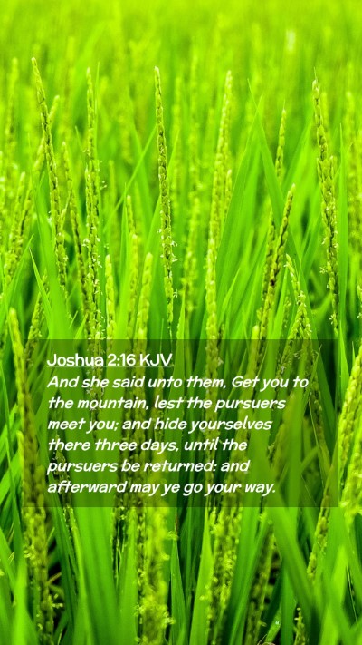 Picture 02 - Joshua 2:16 KJV Mobile Phone Wallpaper - And she said unto them, Get you to the mountain, - Mobile Bible Verse Wallpaper
