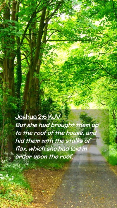 Picture 02 - Joshua 2:6 KJV Mobile Phone Wallpaper - But she had brought them up to the roof of the - Mobile Bible Verse Wallpaper