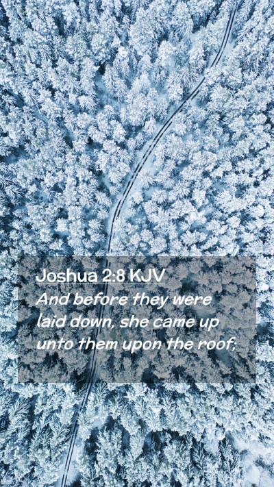 Picture 02 - Joshua 2:8 KJV Mobile Phone Wallpaper - And before they were laid down, she came up unto - Mobile Bible Verse Wallpaper