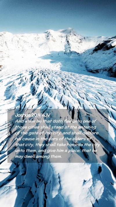 Picture 02 - Joshua 20:4 KJV Mobile Phone Wallpaper - And when he that doth flee unto one of those - Mobile Bible Verse Wallpaper