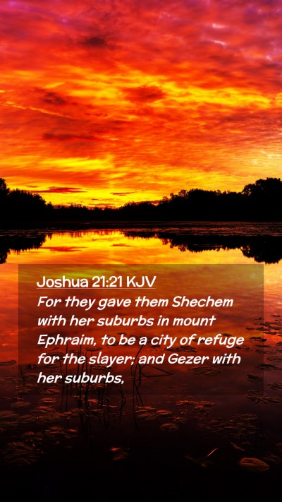 Picture 02 - Joshua 21:21 KJV Mobile Phone Wallpaper - For they gave them Shechem with her suburbs in - Mobile Bible Verse Wallpaper