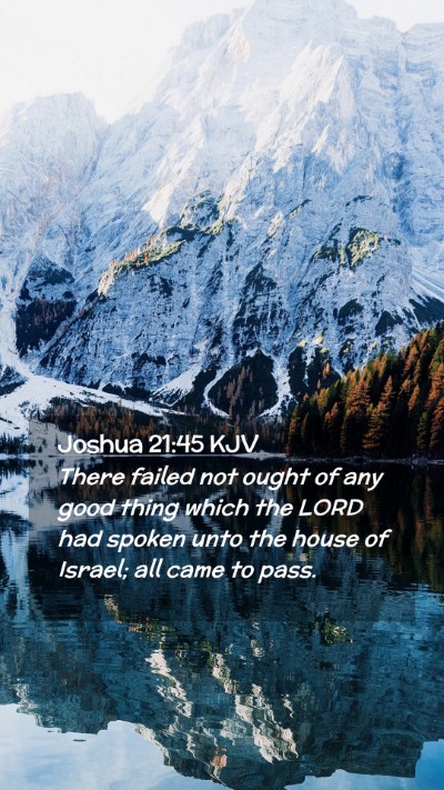 Picture 02 - Joshua 21:45 KJV Mobile Phone Wallpaper - There failed not ought of any good thing which - Mobile Bible Verse Wallpaper