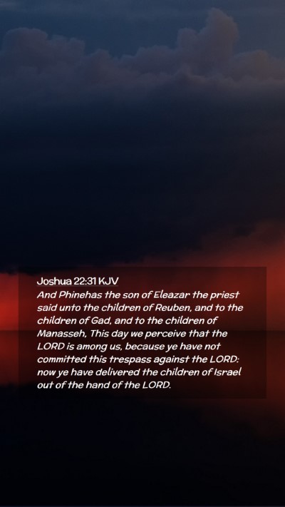 Picture 02 - Joshua 22:31 KJV Mobile Phone Wallpaper - And Phinehas the son of Eleazar the priest said - Mobile Bible Verse Wallpaper