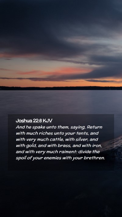 Picture 02 - Joshua 22:8 KJV Mobile Phone Wallpaper - And he spake unto them, saying, Return with much - Mobile Bible Verse Wallpaper