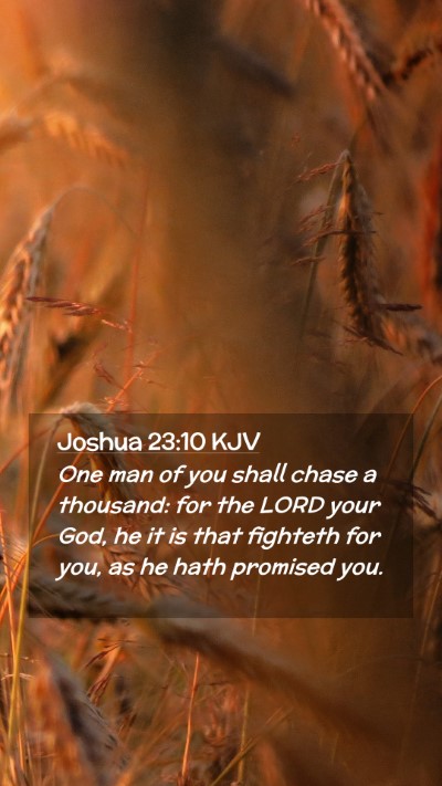 Picture 02 - Joshua 23:10 KJV Mobile Phone Wallpaper - One man of you shall chase a thousand: for the - Mobile Bible Verse Wallpaper