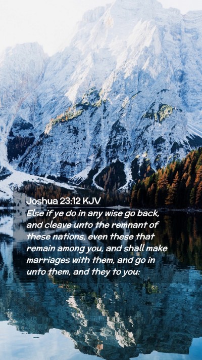 Picture 02 - Joshua 23:12 KJV Mobile Phone Wallpaper - Else if ye do in any wise go back, and cleave - Mobile Bible Verse Wallpaper