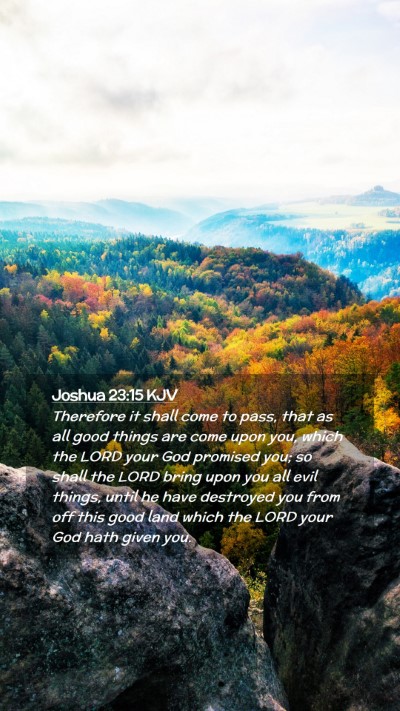 Picture 02 - Joshua 23:15 KJV Mobile Phone Wallpaper - Therefore it shall come to pass, that as all good - Mobile Bible Verse Wallpaper