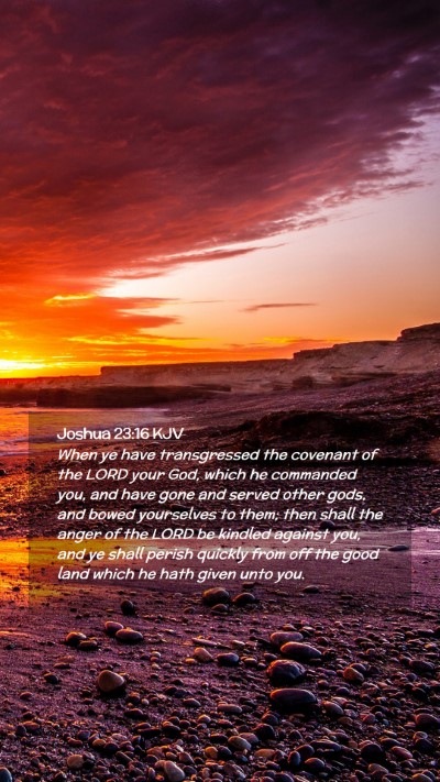 Picture 02 - Joshua 23:16 KJV Mobile Phone Wallpaper - When ye have transgressed the covenant of the - Mobile Bible Verse Wallpaper
