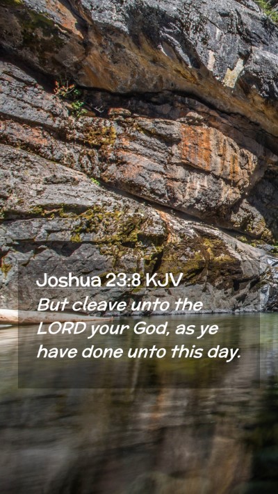 Picture 02 - Joshua 23:8 KJV Mobile Phone Wallpaper - But cleave unto the LORD your God, as ye have - Mobile Bible Verse Wallpaper