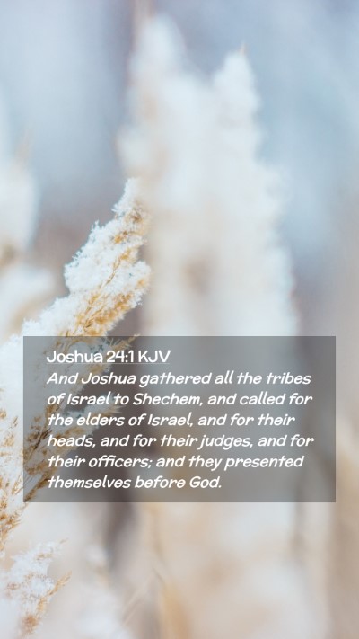 Picture 02 - Joshua 24:1 KJV Mobile Phone Wallpaper - And Joshua gathered all the tribes of Israel to - Mobile Bible Verse Wallpaper