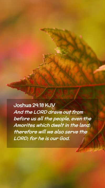 Picture 02 - Joshua 24:18 KJV Mobile Phone Wallpaper - And the LORD drave out from before us all the - Mobile Bible Verse Wallpaper