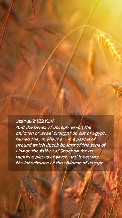 Picture 02 - Joshua 24:32 KJV Mobile Phone Wallpaper - And the bones of Joseph, which the children of - Mobile Bible Verse Wallpaper