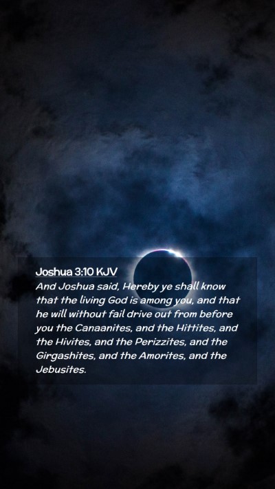 Picture 02 - Joshua 3:10 KJV Mobile Phone Wallpaper - And Joshua said, Hereby ye shall know that the - Mobile Bible Verse Wallpaper