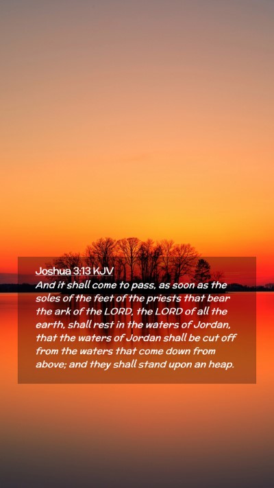Picture 02 - Joshua 3:13 KJV Mobile Phone Wallpaper - And it shall come to pass, as soon as the soles - Mobile Bible Verse Wallpaper