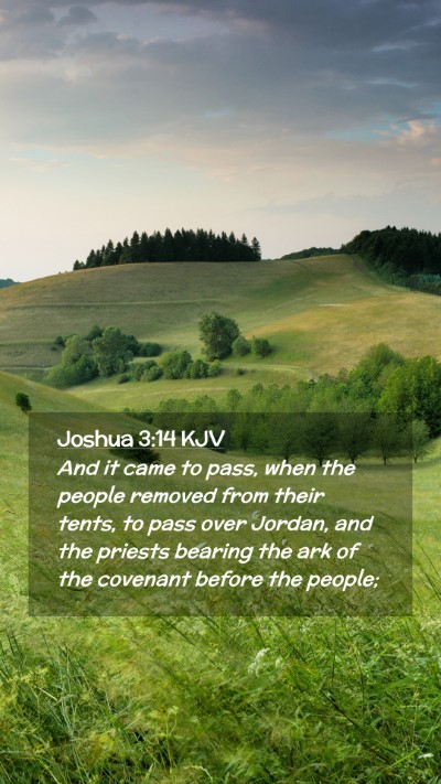 Picture 02 - Joshua 3:14 KJV Mobile Phone Wallpaper - And it came to pass, when the people removed from - Mobile Bible Verse Wallpaper