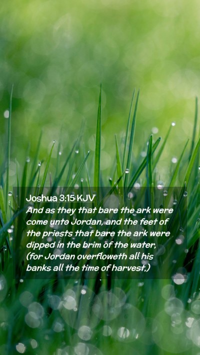 Picture 02 - Joshua 3:15 KJV Mobile Phone Wallpaper - And as they that bare the ark were come unto - Mobile Bible Verse Wallpaper