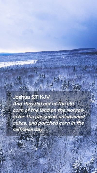 Picture 02 - Joshua 5:11 KJV Mobile Phone Wallpaper - And they did eat of the old corn of the land on - Mobile Bible Verse Wallpaper