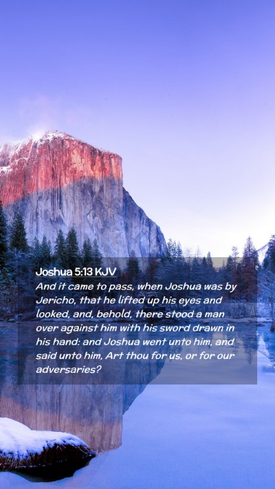 Picture 02 - Joshua 5:13 KJV Mobile Phone Wallpaper - And it came to pass, when Joshua was by Jericho, - Mobile Bible Verse Wallpaper