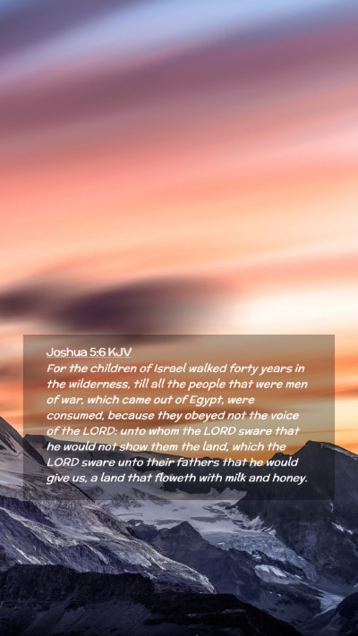 Picture 02 - Joshua 5:6 KJV Mobile Phone Wallpaper - For the children of Israel walked forty years in - Mobile Bible Verse Wallpaper