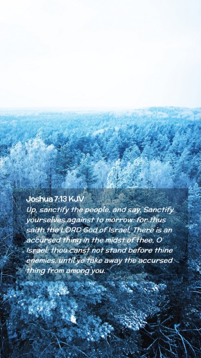 Picture 02 - Joshua 7:13 KJV Mobile Phone Wallpaper - Up, sanctify the people, and say, Sanctify - Mobile Bible Verse Wallpaper