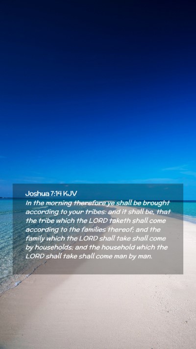 Picture 02 - Joshua 7:14 KJV Mobile Phone Wallpaper - In the morning therefore ye shall be brought - Mobile Bible Verse Wallpaper