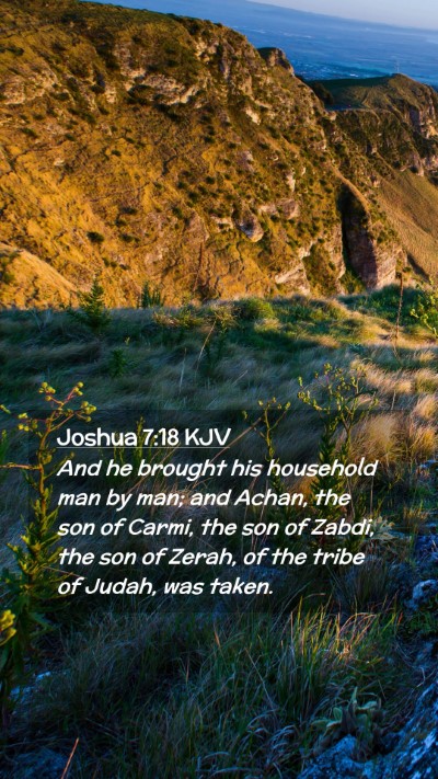 Picture 02 - Joshua 7:18 KJV Mobile Phone Wallpaper - And he brought his household man by man; and - Mobile Bible Verse Wallpaper