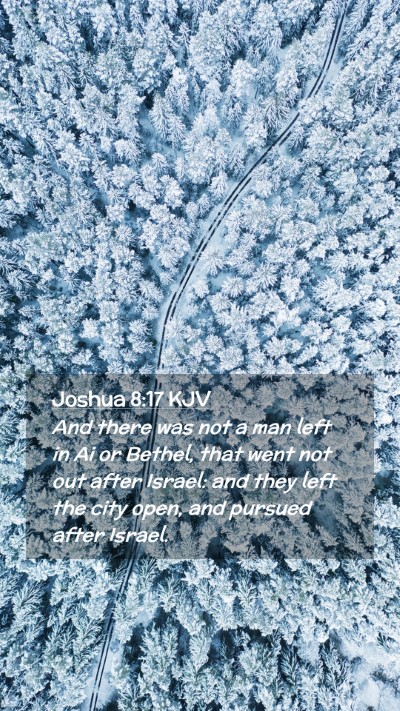 Picture 02 - Joshua 8:17 KJV Mobile Phone Wallpaper - And there was not a man left in Ai or Bethel, - Mobile Bible Verse Wallpaper