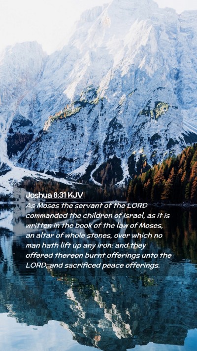 Picture 02 - Joshua 8:31 KJV Mobile Phone Wallpaper - As Moses the servant of the LORD commanded the - Mobile Bible Verse Wallpaper